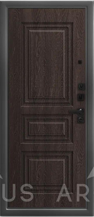 Аргус Входная дверь ДА94 Black Style Скиф, арт. 0006634 - фото №2